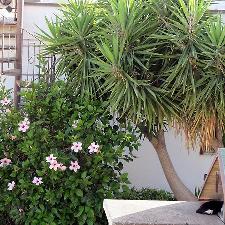 Casa Floriana A San Leone Villa Dış mekan fotoğraf